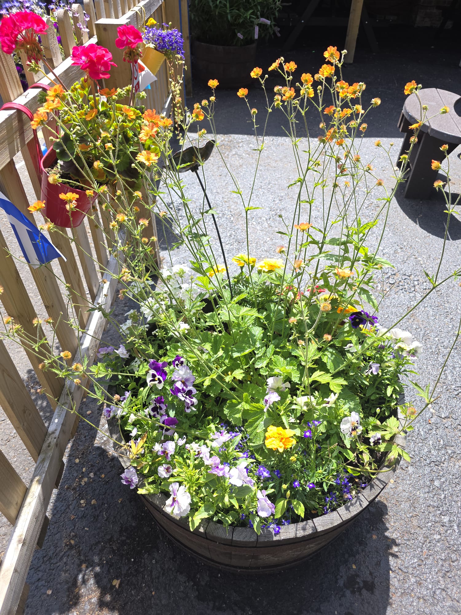 Colourful flower planters in the beer garden